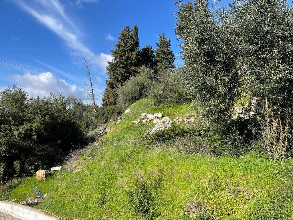 Land in Corfu, Greece, 4 000 m² - picture 11