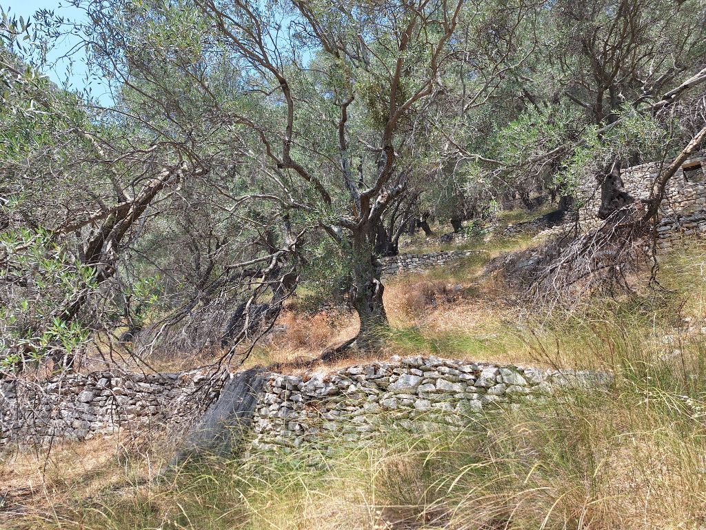 Terrain à Corfou, Grèce, 6 000 m² - image 11