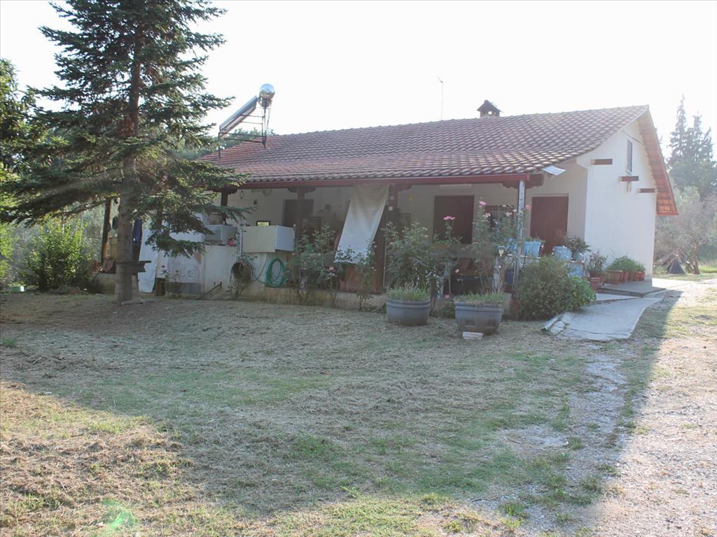 Casa a Olympiaki Akti, Grecia, 70 m² - foto 11