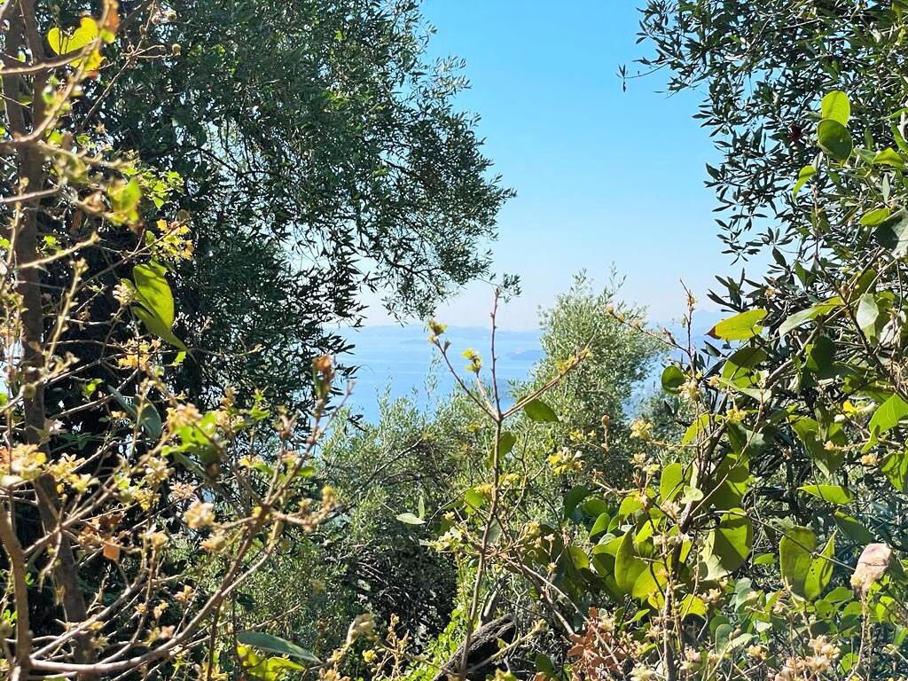 Terreno a Corfù, Grecia, 90 000 m2 - foto 11