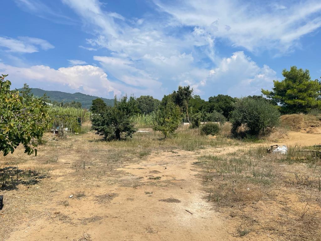 Terrain à Corfou, Grèce, 2 900 m² - image 11