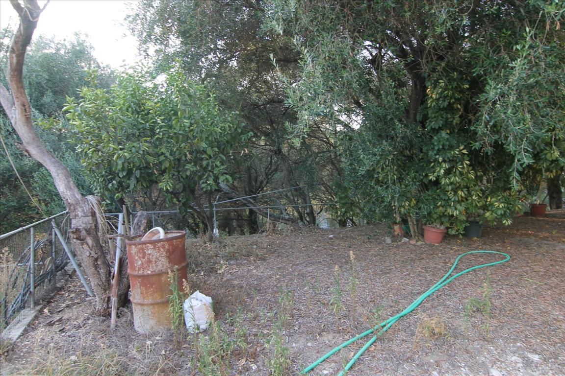 Maison à Corfou, Grèce, 250 m² - image 11