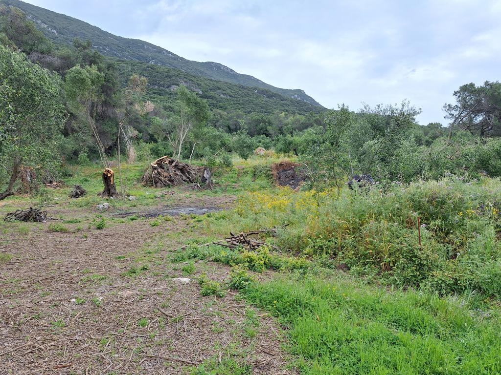 Land in Corfu, Greece, 7 000 m² - picture 11