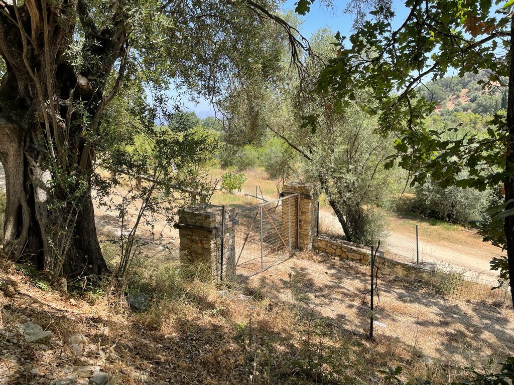 Land in Corfu, Greece, 26 159 m² - picture 11