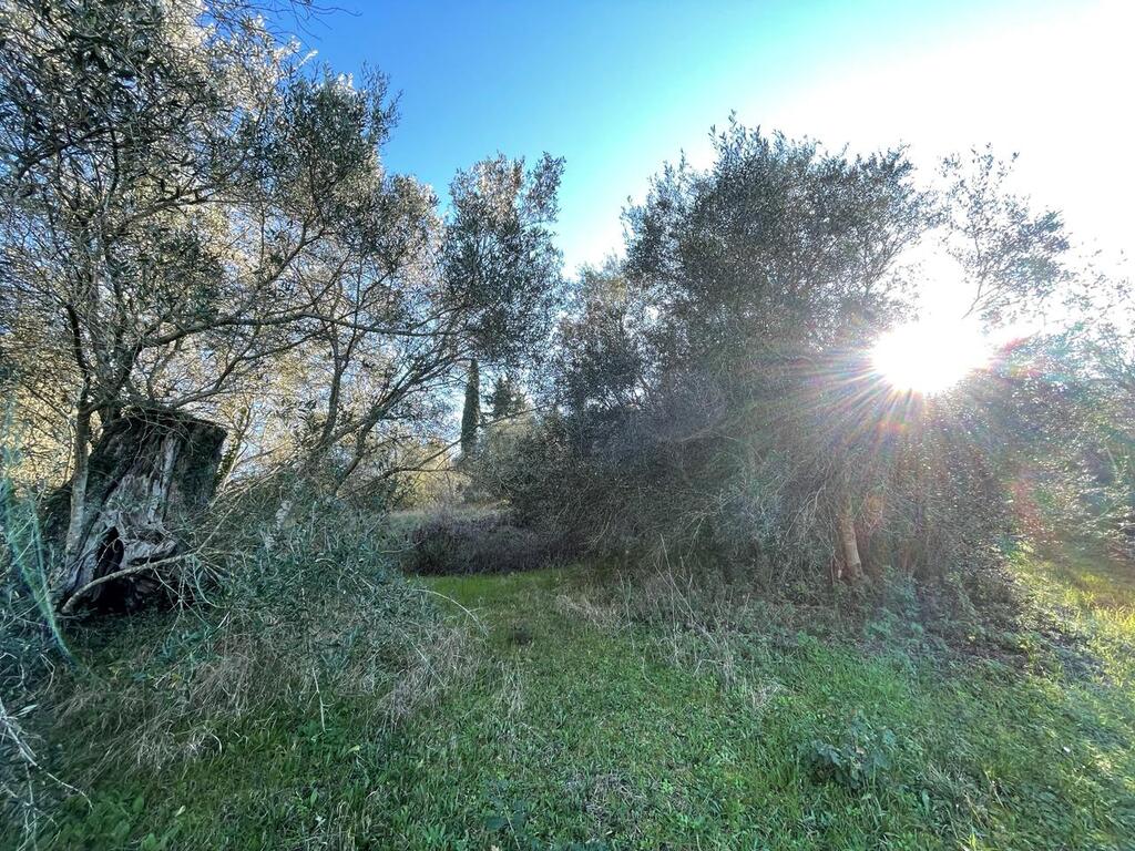 Terrain à Corfou, Grèce, 14 529 m² - image 11