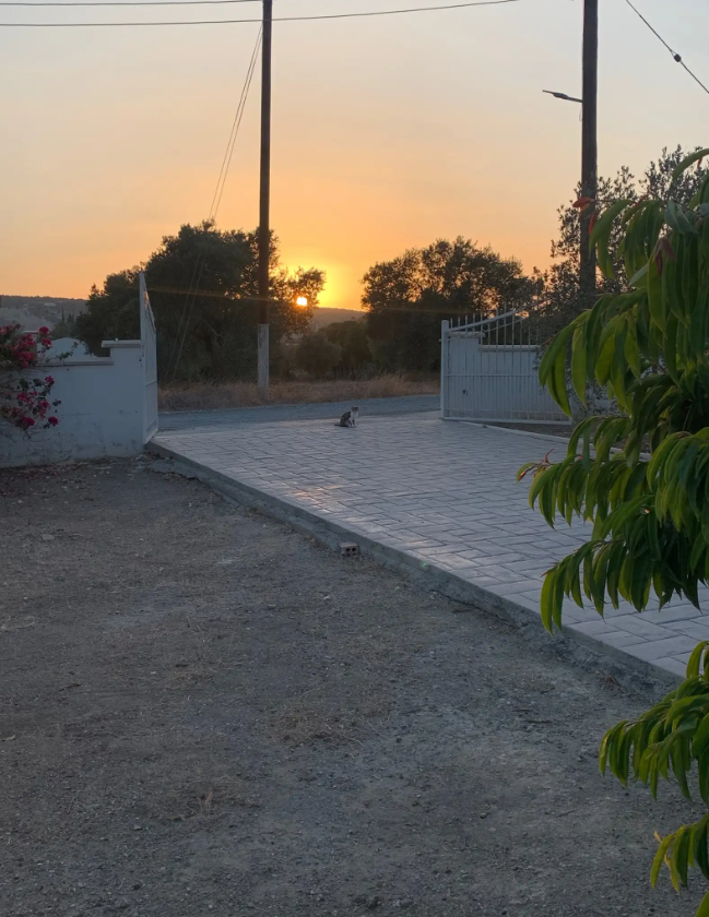 House in Moni, Cyprus, 170 m² - picture 4