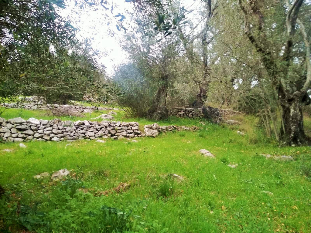 Land in Corfu, Greece, 4 363 m² - picture 11