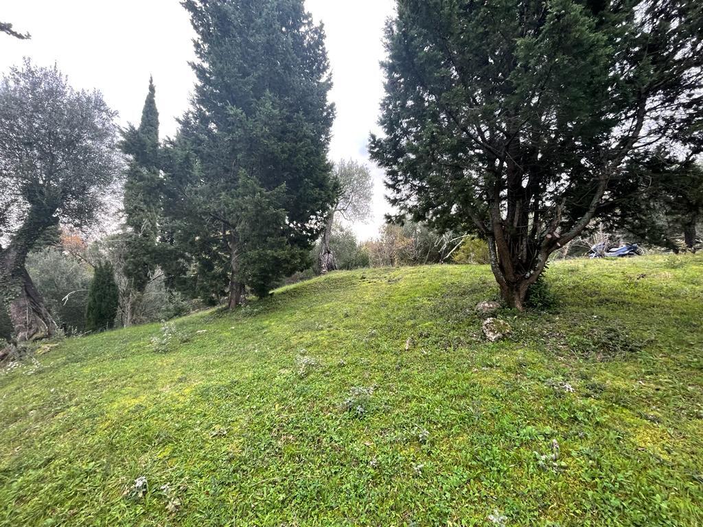 Land in Corfu, Greece, 2 463 m² - picture 11