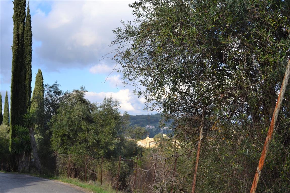 Terrain à Corfou, Grèce, 5 500 m² - image 11