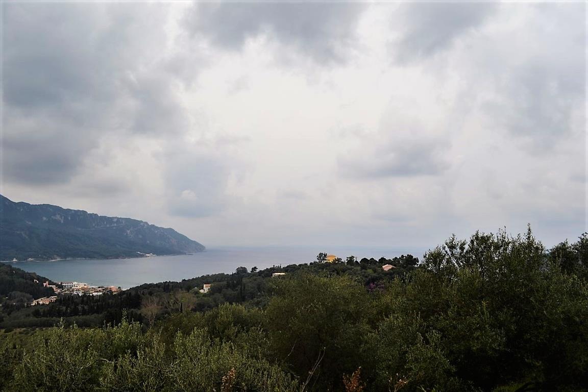 Land in Corfu, Greece, 6 000 m² - picture 11