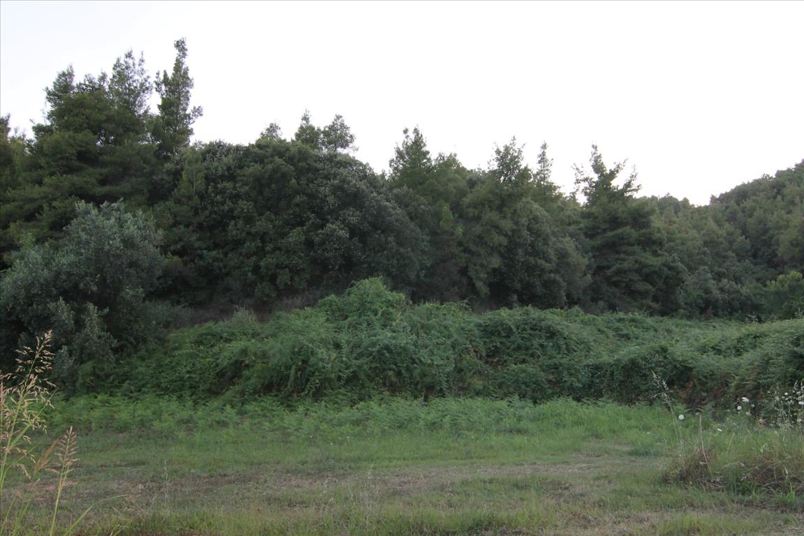 Casa en Calcídica, Grecia, 210 m² - imagen 11