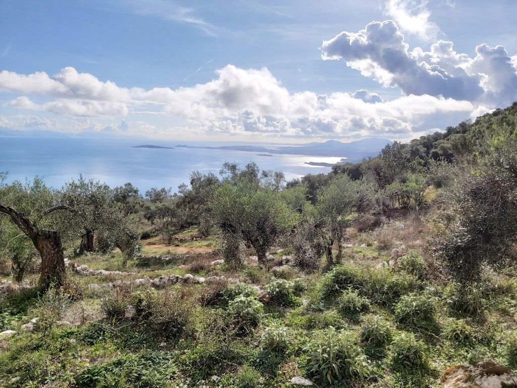 Grundstück in Korfu, Griechenland, 9 500 m² - Foto 12