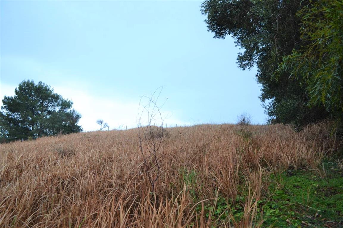 Grundstück in Korfu, Griechenland, 2 522 m² - Foto 12