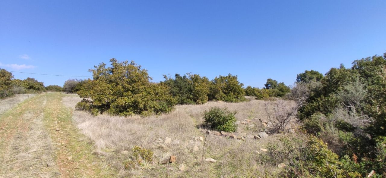 Grundstück in Sithonia, Griechenland, 4 170 m² - Foto 12