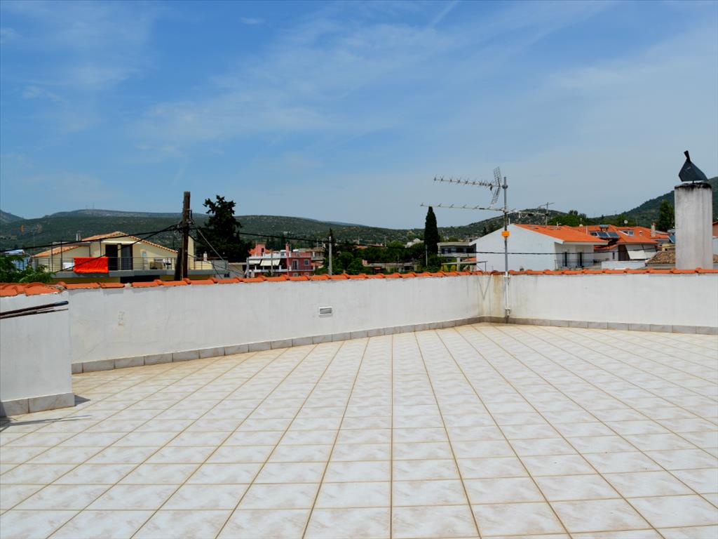 House in Attica, Greece, 480 m² - picture 12