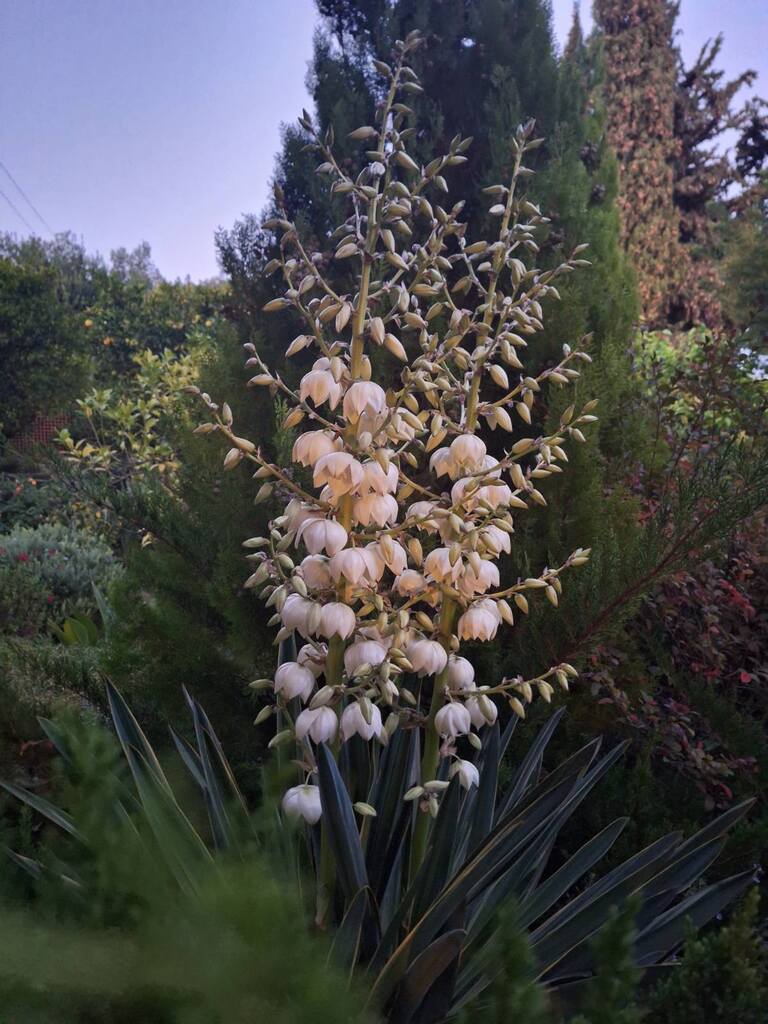 Casa en Ática, Grecia, 275 m² - imagen 12