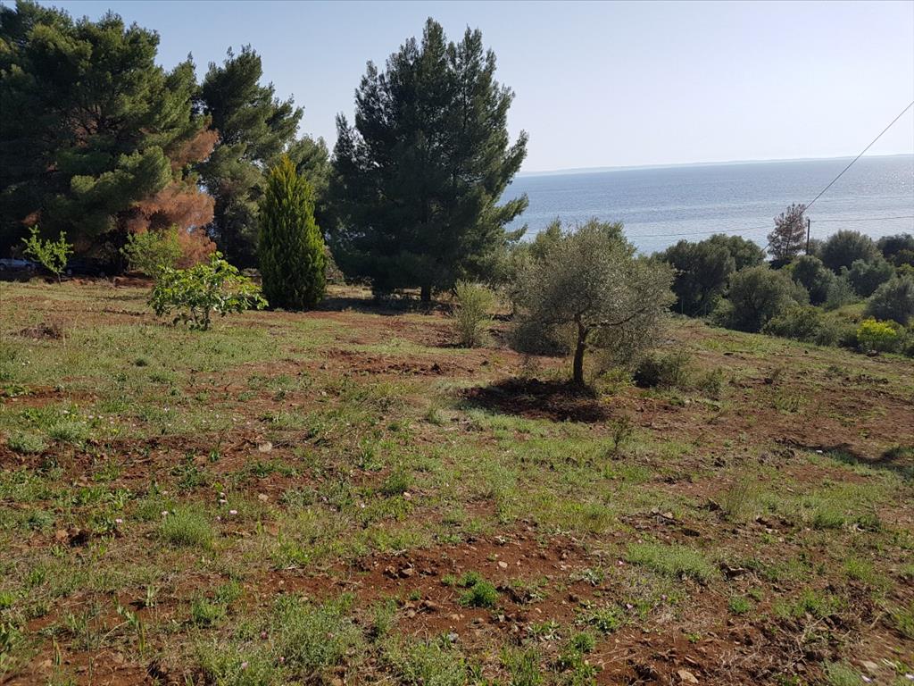 Terreno a Sithonia, Grecia, 6 500 m2 - foto 12