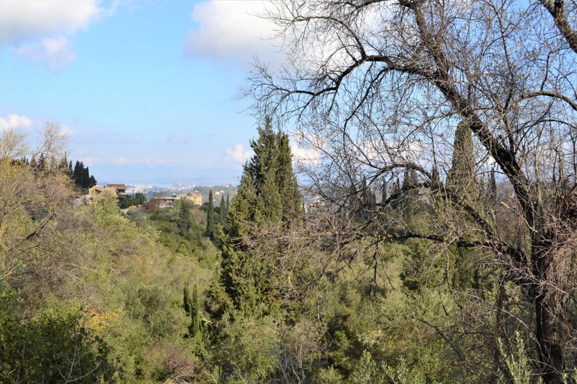 Terrain à Corfou, Grèce, 5 500 m² - image 12