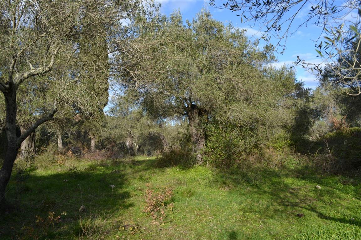 Terreno a Corfù, Grecia, 20 000 m2 - foto 12