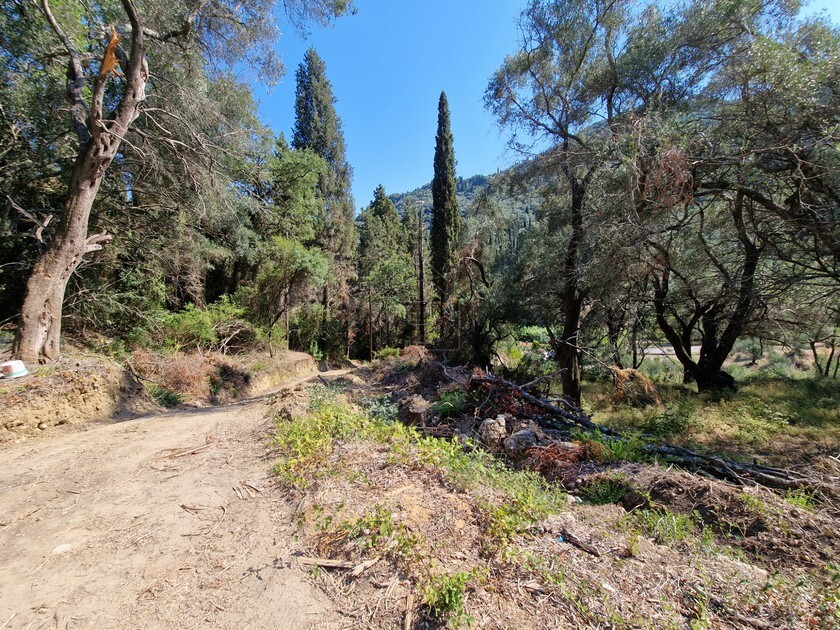 Terreno en Corfú, Grecia, 8 500 m² - imagen 12