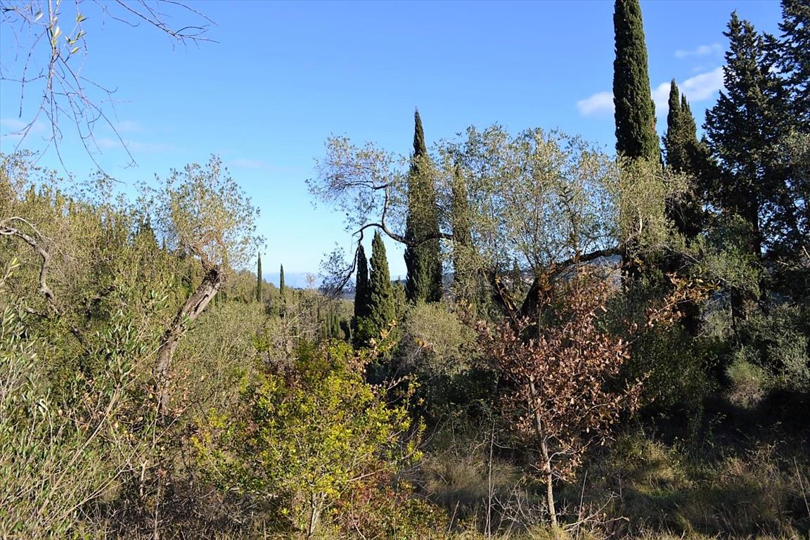 Terreno a Corfù, Grecia, 8 000 m2 - foto 12