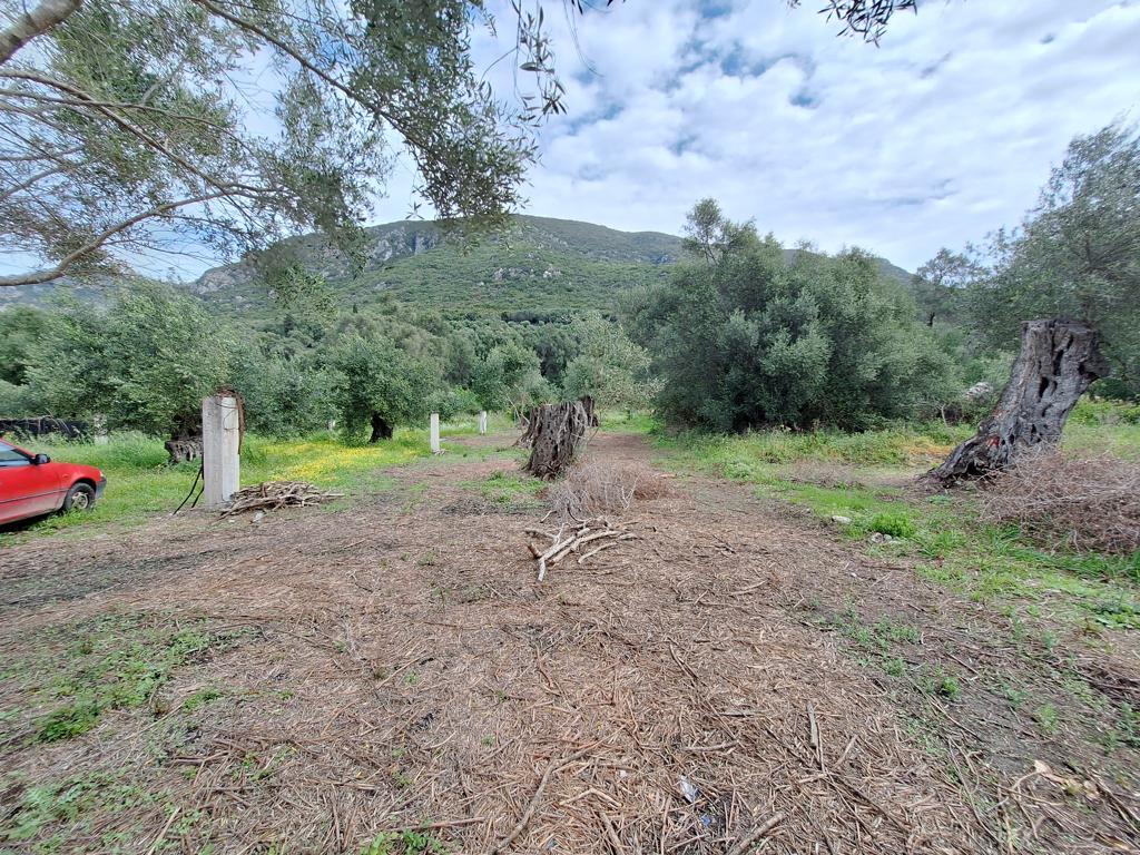 Land in Corfu, Greece, 7 000 m² - picture 12