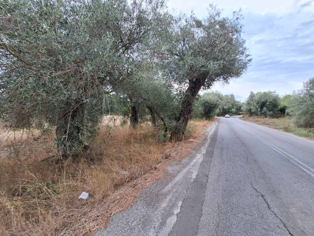 Land in Corfu, Greece, 5 500 m² - picture 12