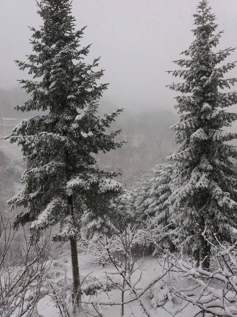 Maison en Chalcidique, Grèce, 140 m² - image 12