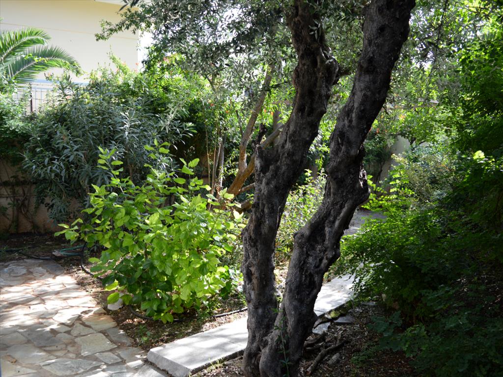 Maison à Athènes, Grèce, 122 m² - image 12