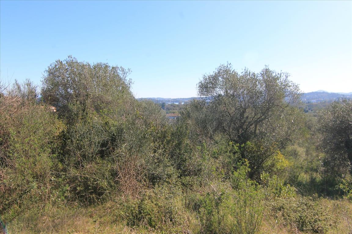Terreno en Corfú, Grecia, 4 131 m² - imagen 12