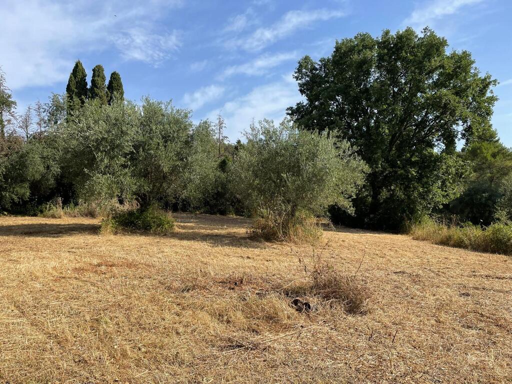 Land in Corfu, Greece, 27 750 m² - picture 12