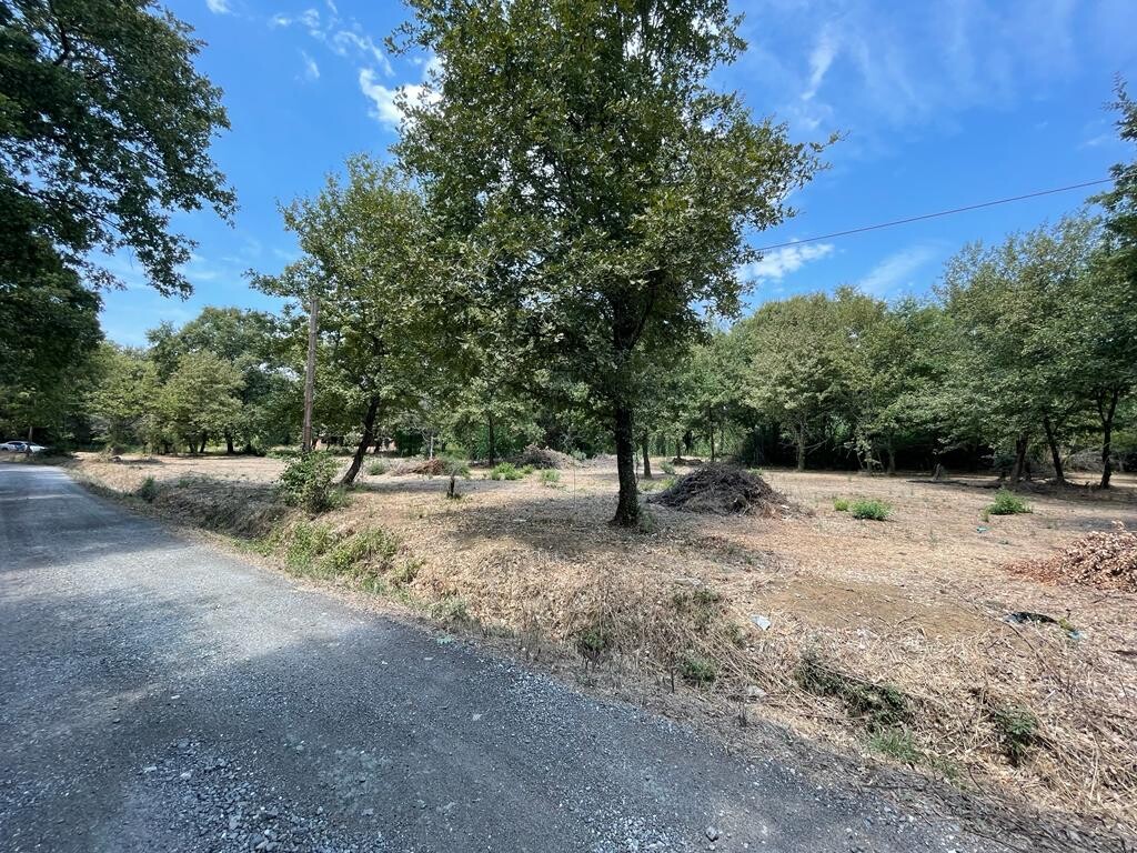 Land in Corfu, Greece, 4 850 m² - picture 12