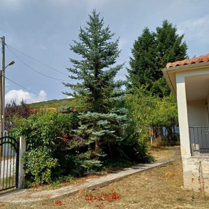 Maison en Chalcidique, Grèce, 90 m² - image 12