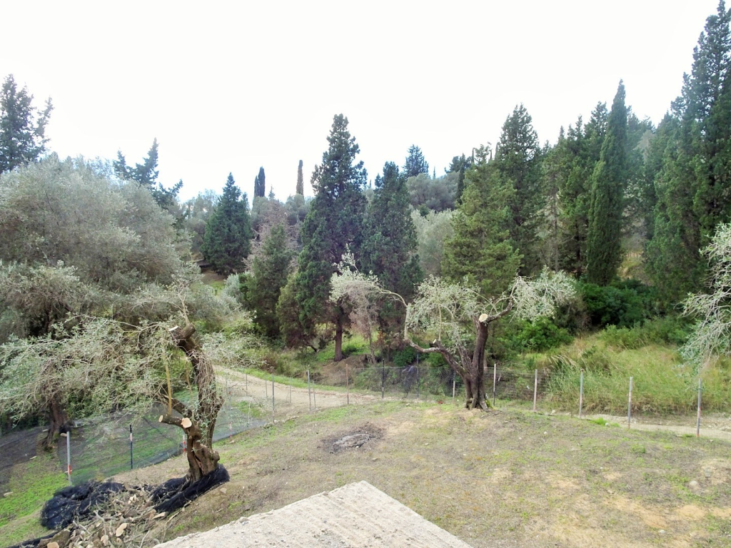 Maison à Corfou, Grèce, 240 m² - image 12