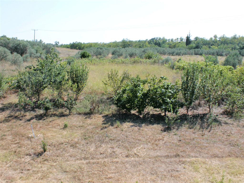 Casa en Olympiaki Akti, Grecia, 175 m² - imagen 12