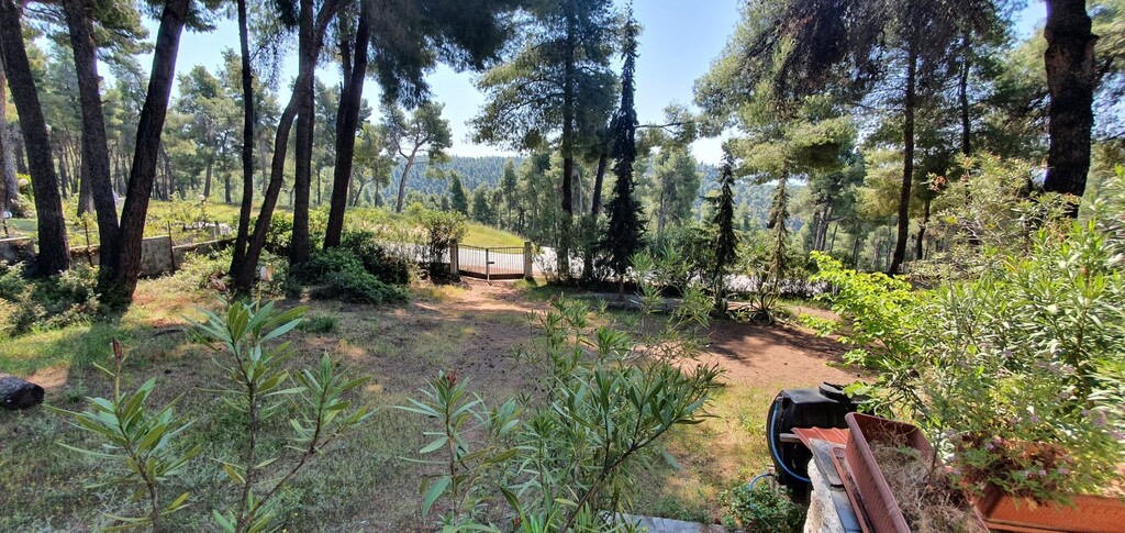 Villa in Kassandra, Griechenland, 440 m² - Foto 12