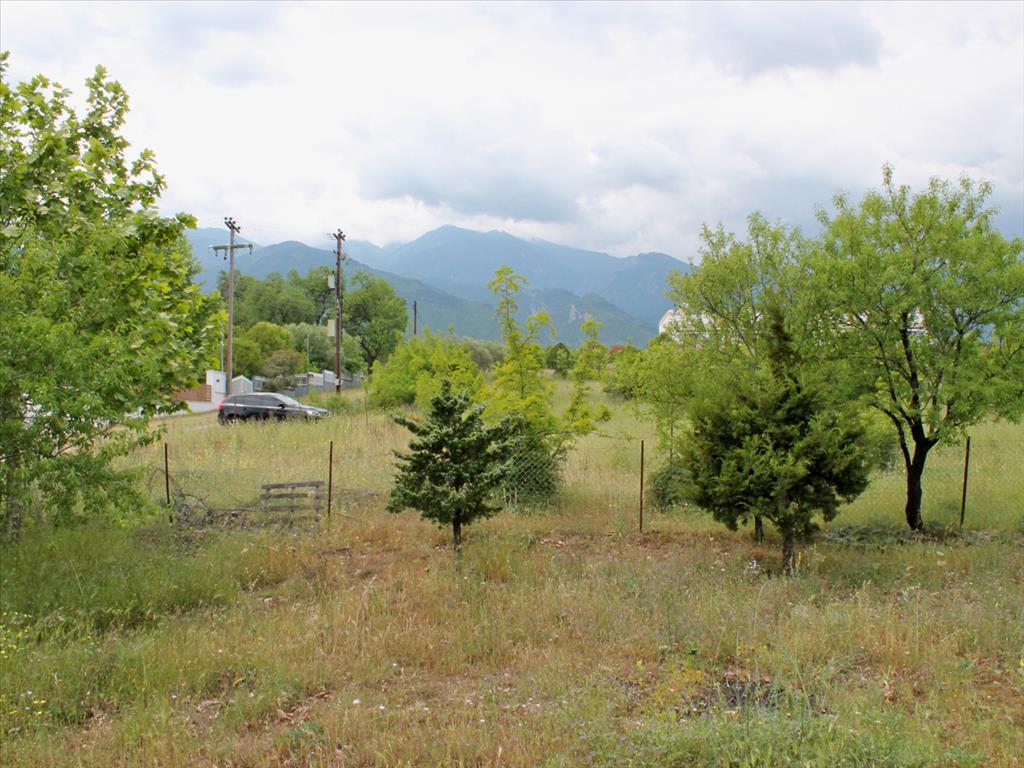 Haus in Olympiaki Akti, Griechenland, 320 m² - Foto 12