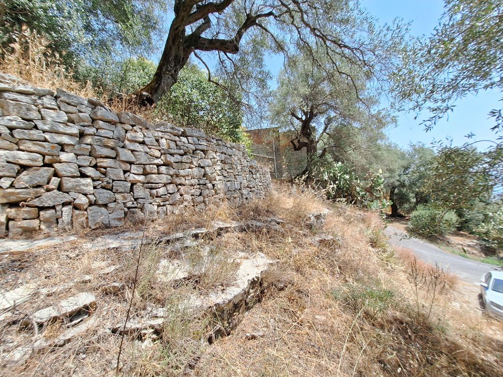 Terrain à Corfou, Grèce, 6 000 m² - image 12