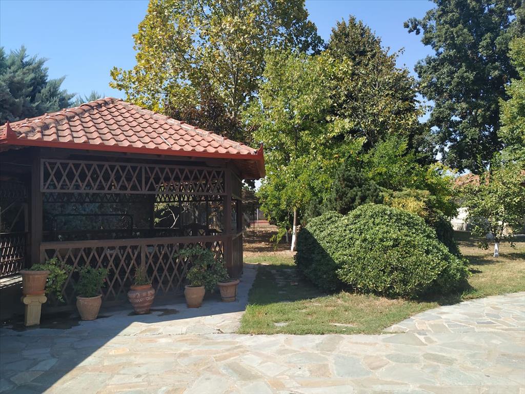 Villa en Olympiaki Akti, Grecia, 400 m² - imagen 12