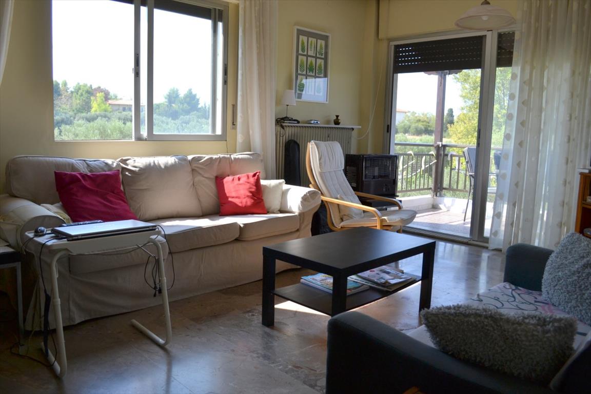 House in Kassandra, Greece, 200 m² - picture 12