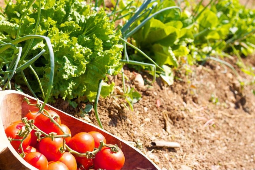 Villa a Heraklion, Grecia, 450 m² - foto 12