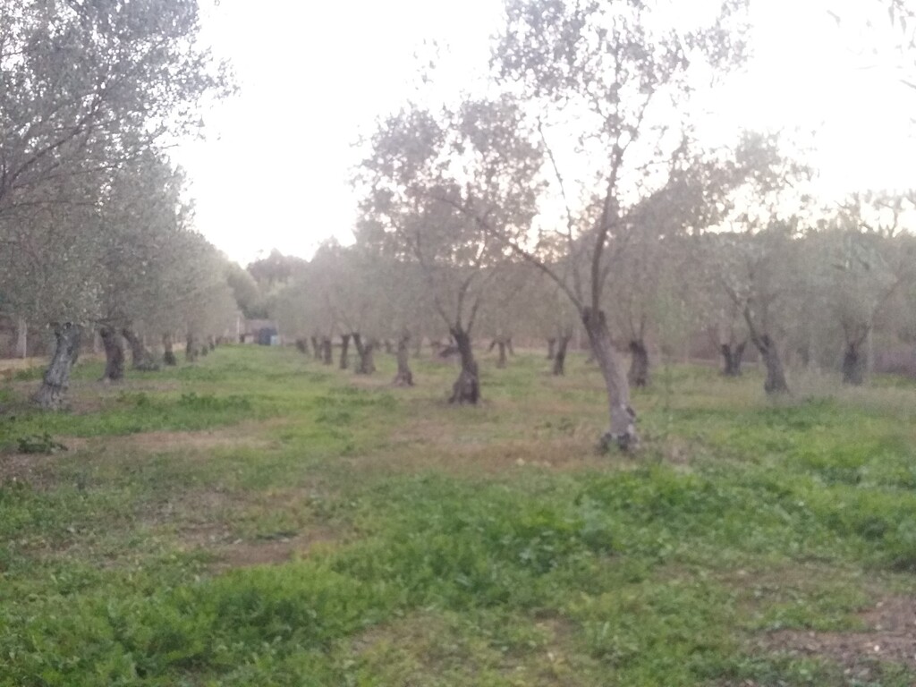 Haus in Chalkidiki, Griechenland, 350 m² - Foto 12