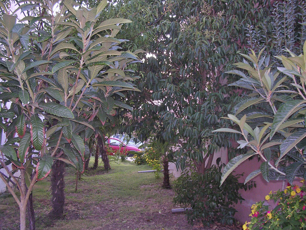 Casa en Olympiaki Akti, Grecia, 240 m² - imagen 12