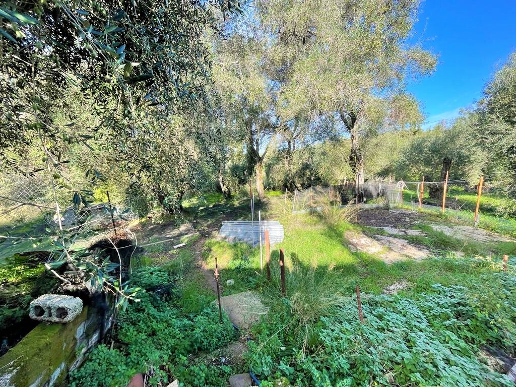 Maison à Corfou, Grèce, 190 m² - image 12