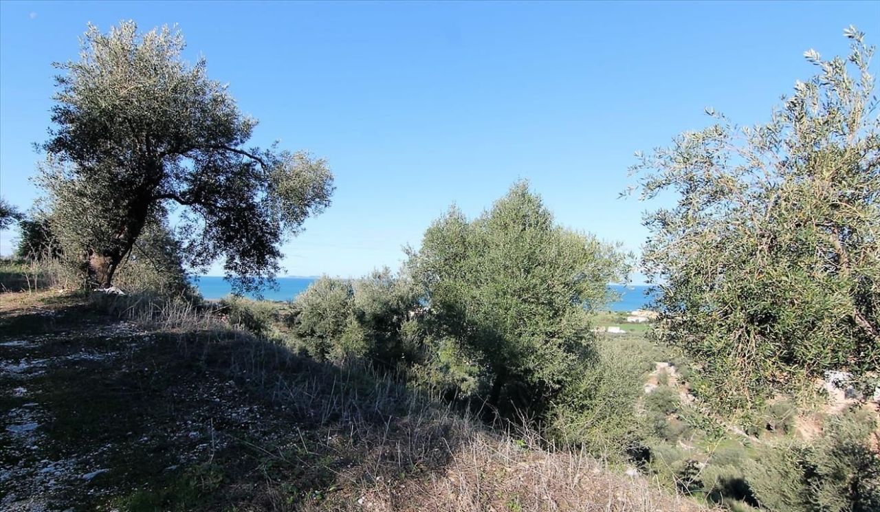 Grundstück in Korfu, Griechenland, 41 000 m² - Foto 12