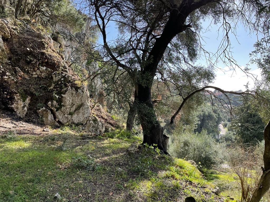 Terreno a Corfù, Grecia, 6 260 m2 - foto 12