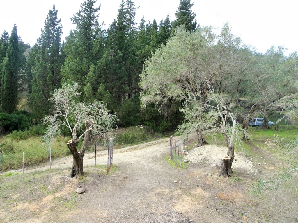 Maison à Corfou, Grèce, 240 m² - image 13