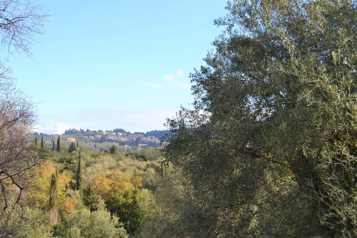 Terrain à Corfou, Grèce, 5 500 m² - image 13