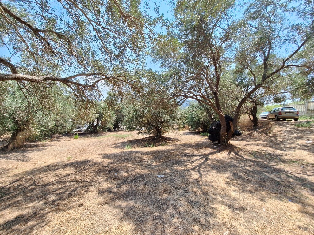 Grundstück in Korfu, Griechenland, 12 000 m² - Foto 13