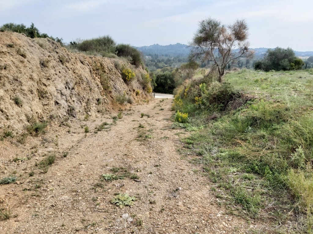 Land in Corfu, Greece, 7 421 m² - picture 13